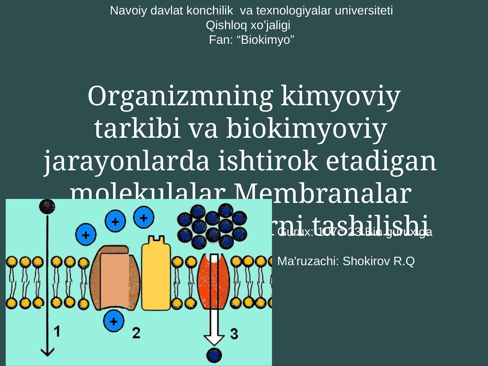 Organizmning kimyoviy tarkibi va biokimyoviy jarayonlarda ishtirok etadigan molekulalar Membranalar bo'ylab moddalarni tashilishi