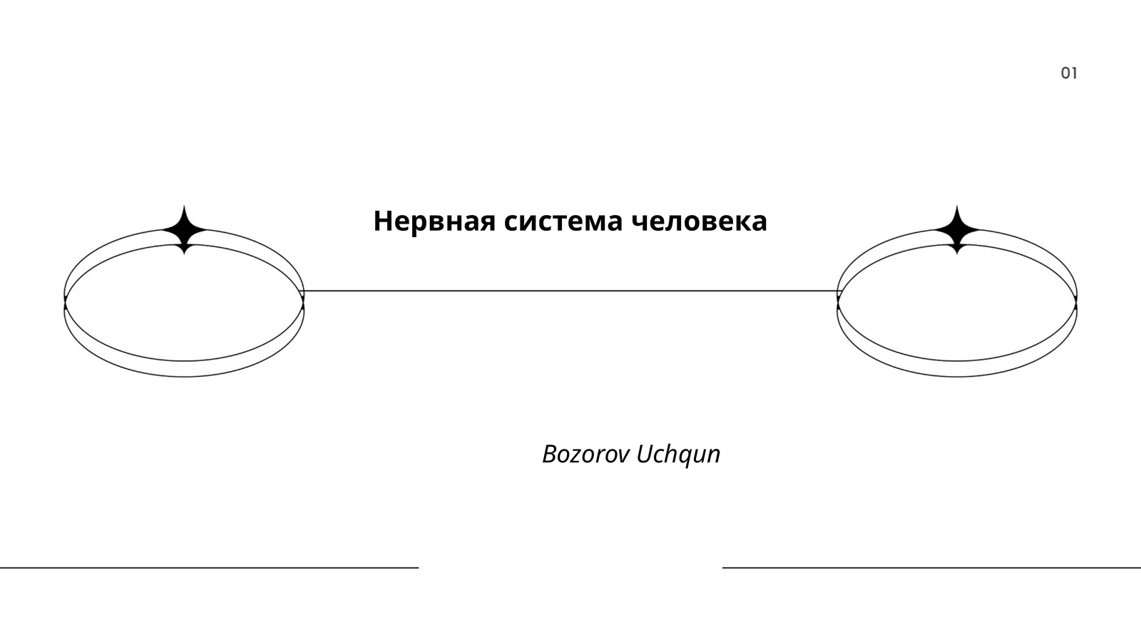 Нервная система человека