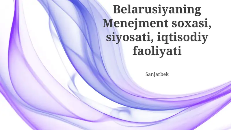 Belarusiyaning Menejment soxasi, siyosati, iqtisodiy faoliyati