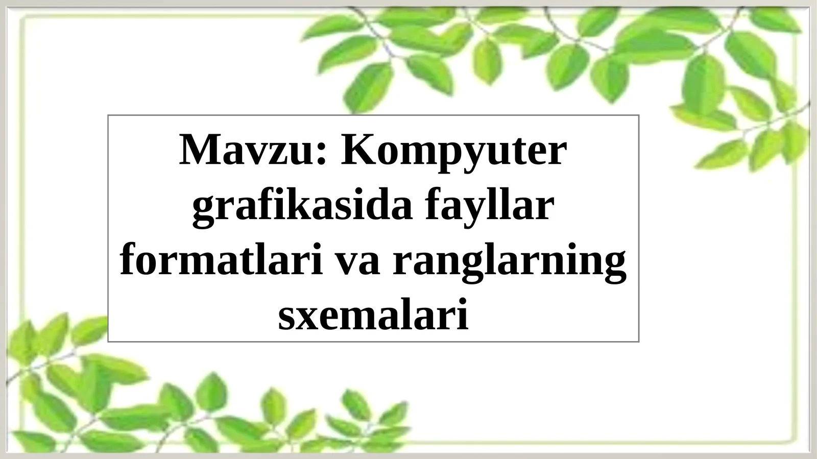 Kompyuter grafikasida fayllar formatlari va ranglarning sxemalari
