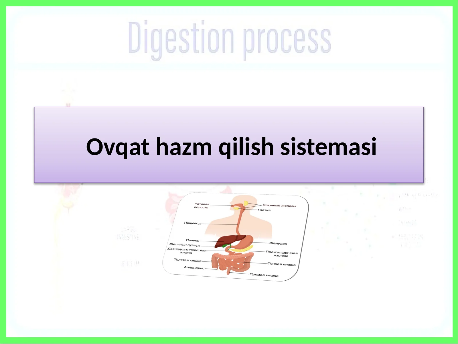 Ovqat hazm qilish sistemasi