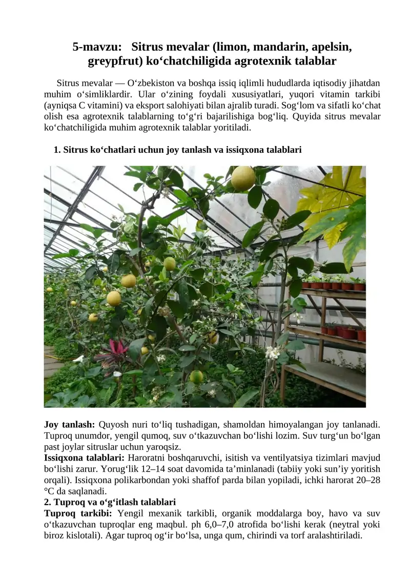 Sitrus mevalar (limon, mandarin, apelsin, greypfrut) ko‘chatchiligida agrotexnik talablar