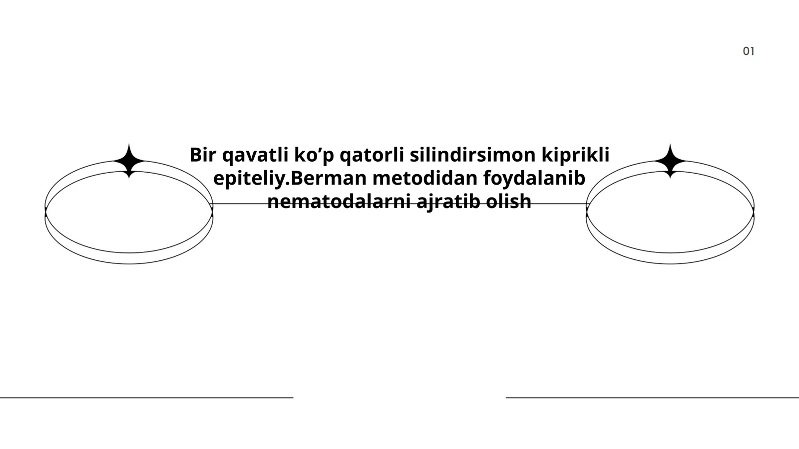 Bir qavatli ko'p qatorli silindrsimon kiprikli epiteliy