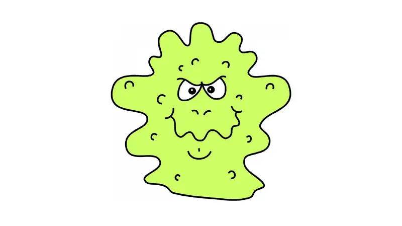 Анатомо-физиологические особенности печени