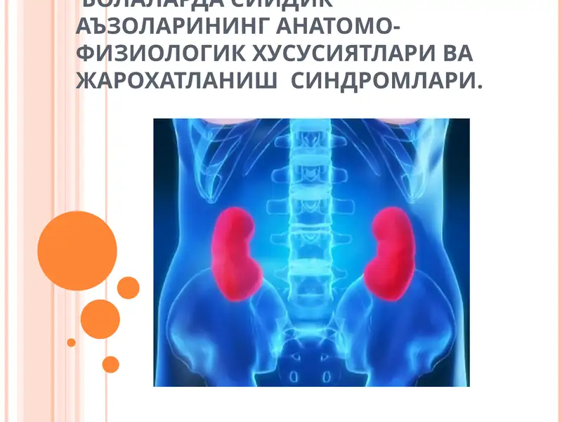 СИЙДИК АЪЗОЛАРИНИНГ АНАТОМО-ФИЗИОЛОГИК ХУСУСИЯТЛАРИ ВА ЖАРОХАТЛАНИШ СИНДРОМЛАРИ