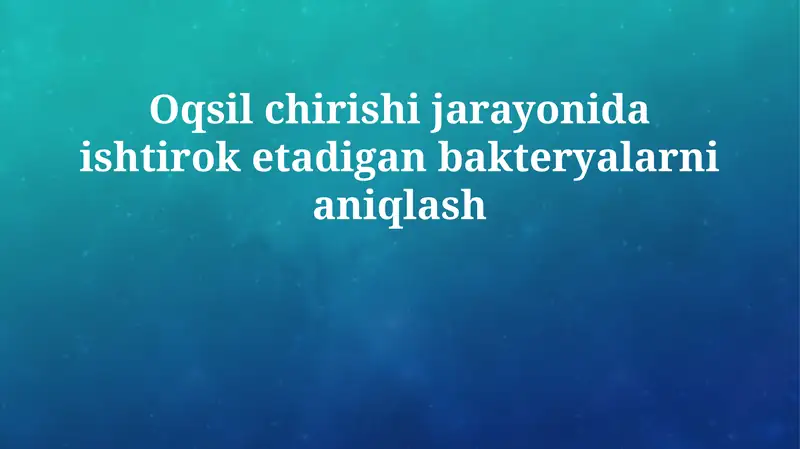 Protein parchalanishi