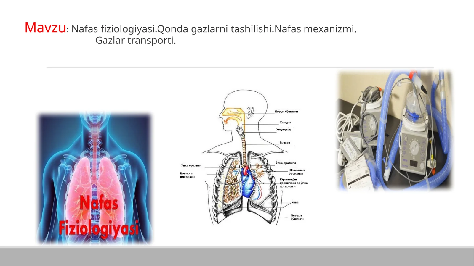 Nafas  fiziologiyasi.Qonda  gazlarni  tashilishi.Nafas  mexanizmi.Gazlar  transporti