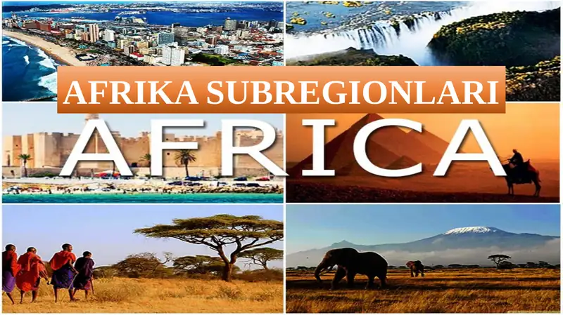 AFRIKA SUBREGIONLARI