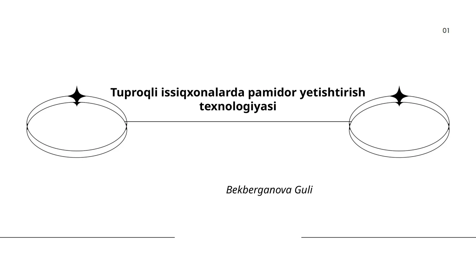 Tuproqli issiqxonalarda pamidor yetishtirish texnologiyasi