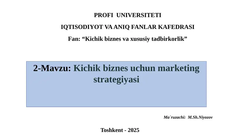 Kichikbiznesuchunmarketingstrategiyasi