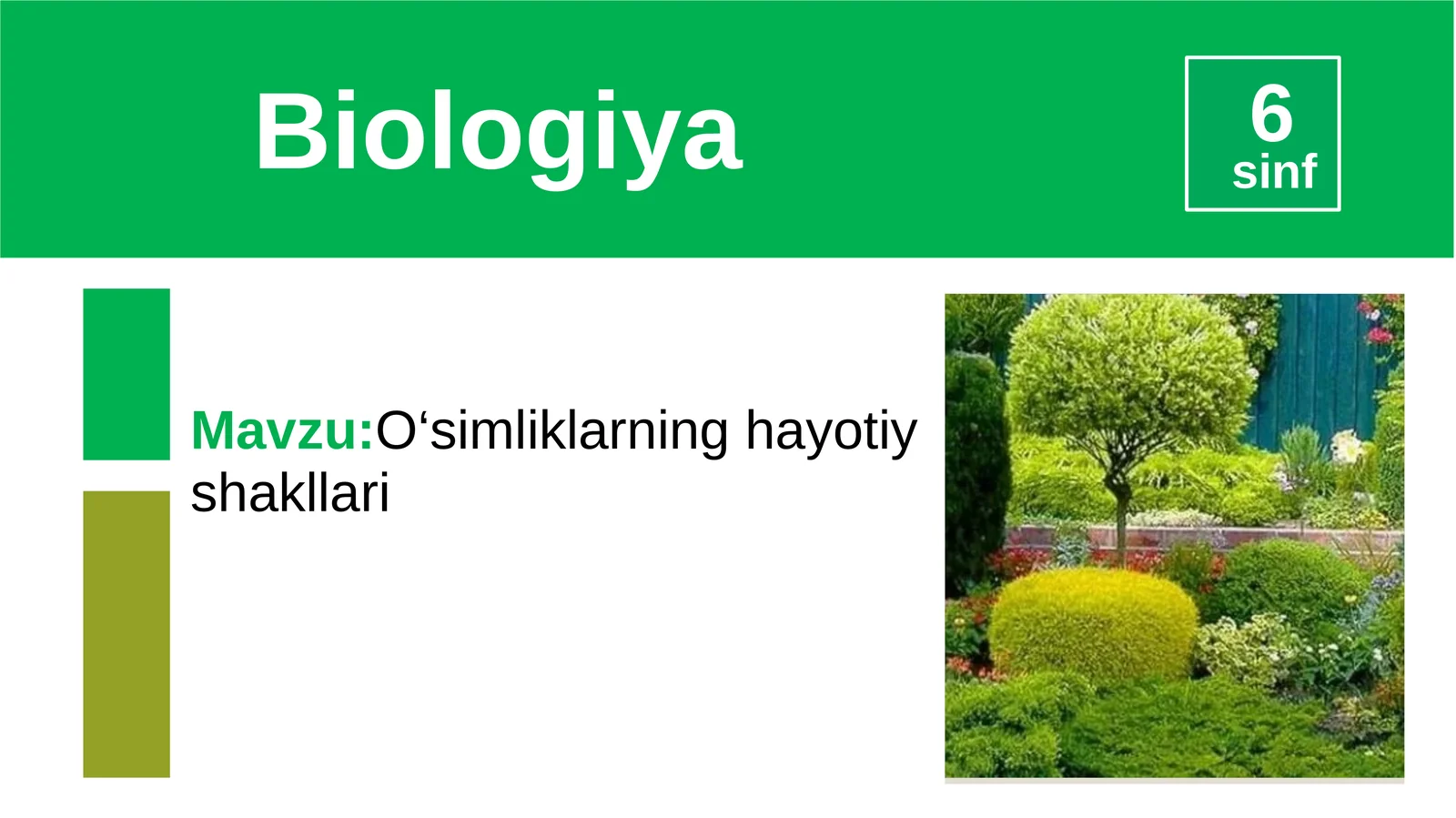 Biologiya 6 sinf
