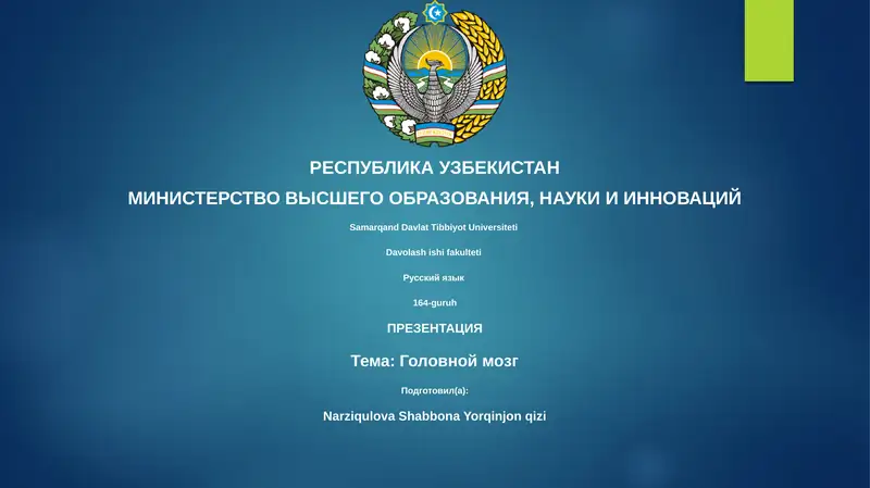 Презентация: Головной мозг