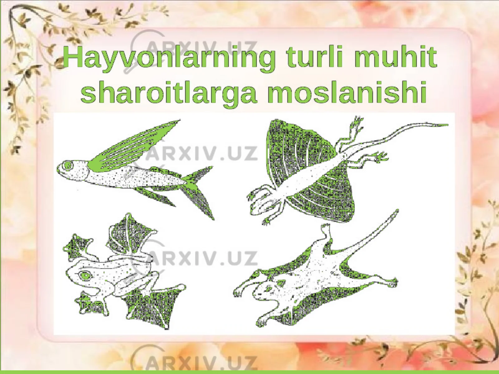 Hayvonot olamidagi moslanishlar