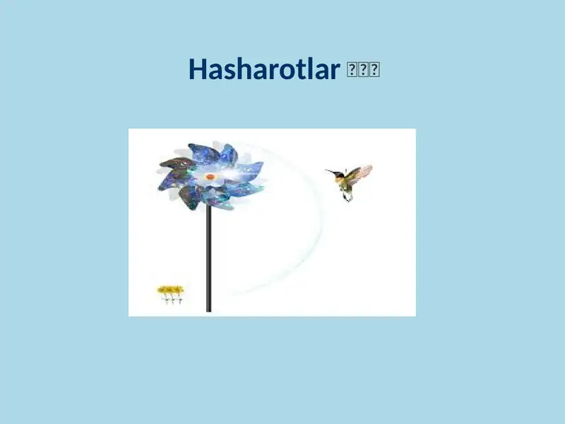 Hashorotlar Rasmi Hasharotlar
