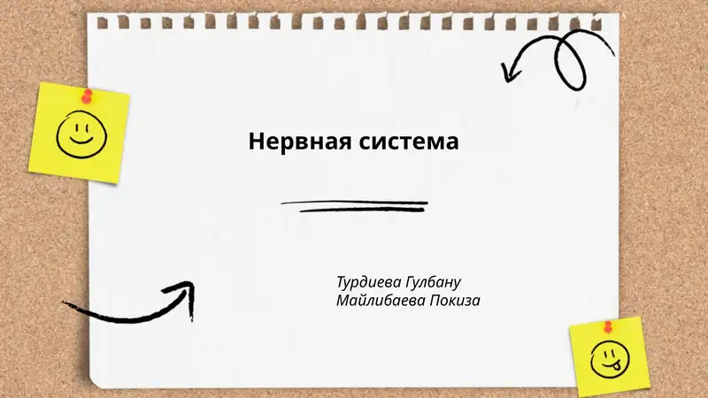 Нервная система