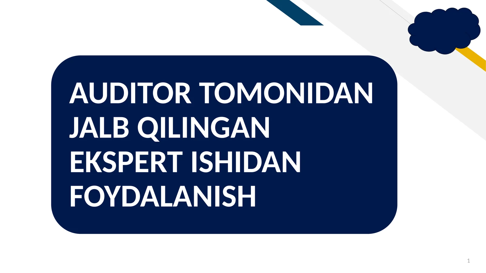 AUDITOR TOMONIDAN JALB QILINGAN EKSPERT ISHIDAN FOYDALANISH