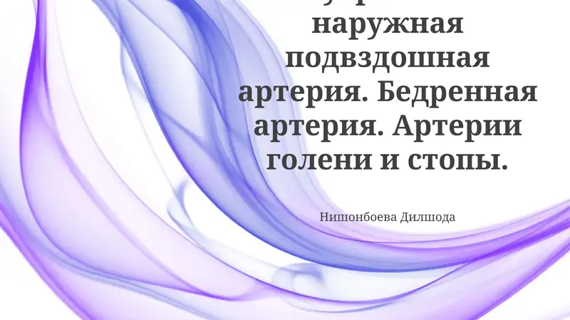 Бедренная артерия, Внутренняя и наружная подвздошные артерии, Артерии голени и стопы