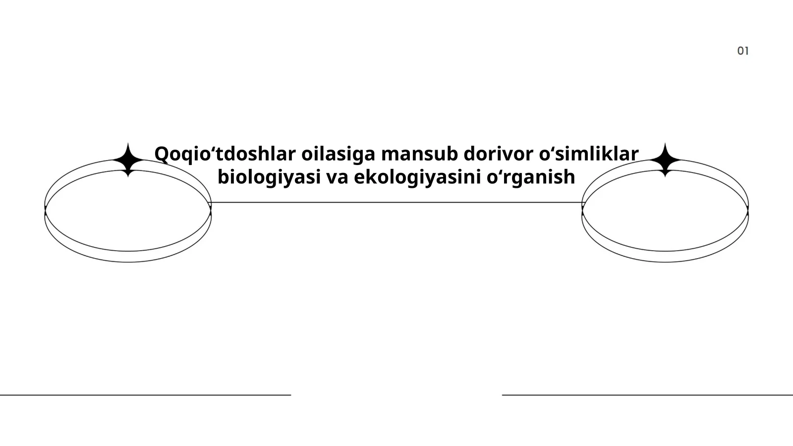 Qoqioʻtdoshlar oilasiga mansub dorivor oʻsimliklar biologiyasi va ekologiyasini oʻrganish