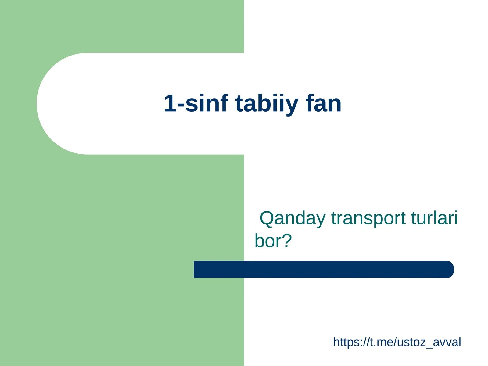 Qanday transport turlari bor?