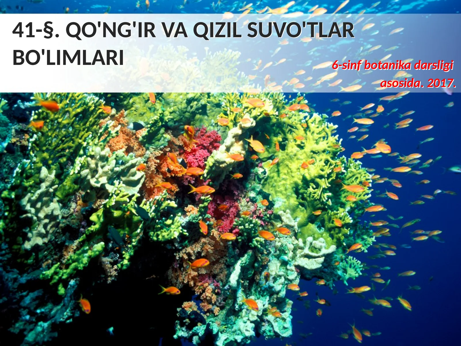 6-sinf Botanika dars ishlanma. Qo'ng'ir va qizil suvo'tlari