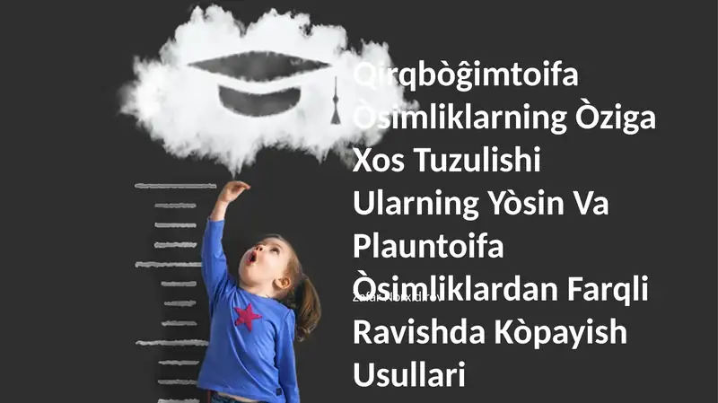 Qirqbòĝimtoifa Òsimliklarning Òziga Xos Tuzulishi Ularning Yòsin Va Plauntoifa Òsimliklardan Farqli Ravishda Kòpayish Usullari