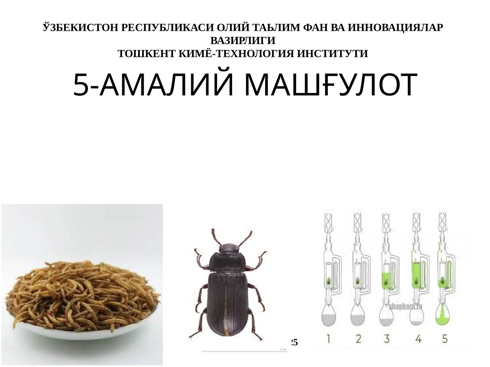 5-АМАЛИЙ МАШҒУЛОТ