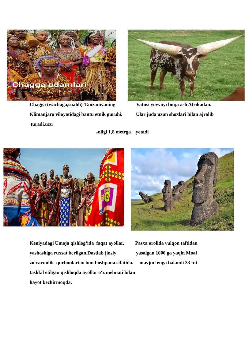 Vetnam yigitlari orasidagi sevgi (18+) bepul tomosha qiling