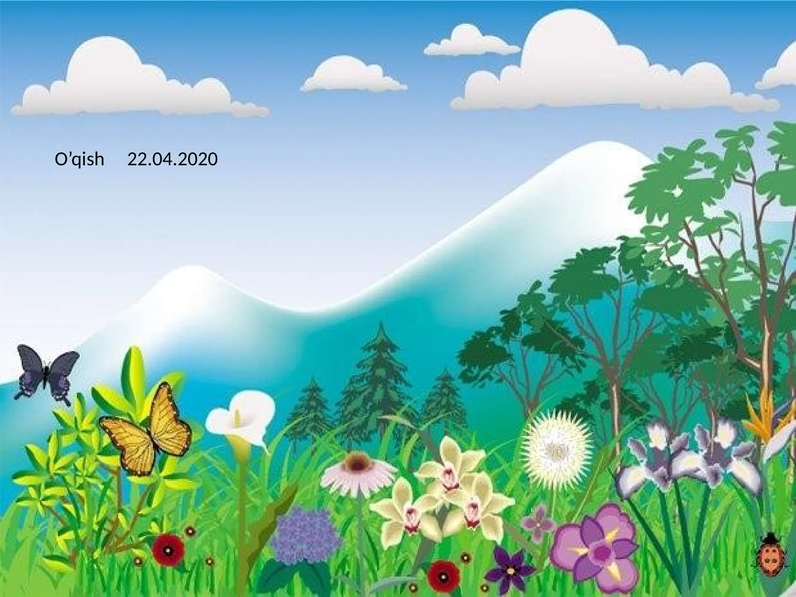 Dog’da qolgan qarg’a