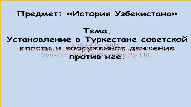 Установление в Туркестане советской власти и вооруженное движение против неё