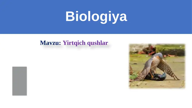 Zoologiya fanidan taqdimot. Yirtqich qushlar