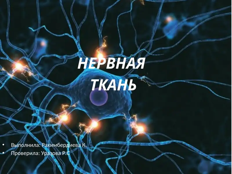 Нервная ткань