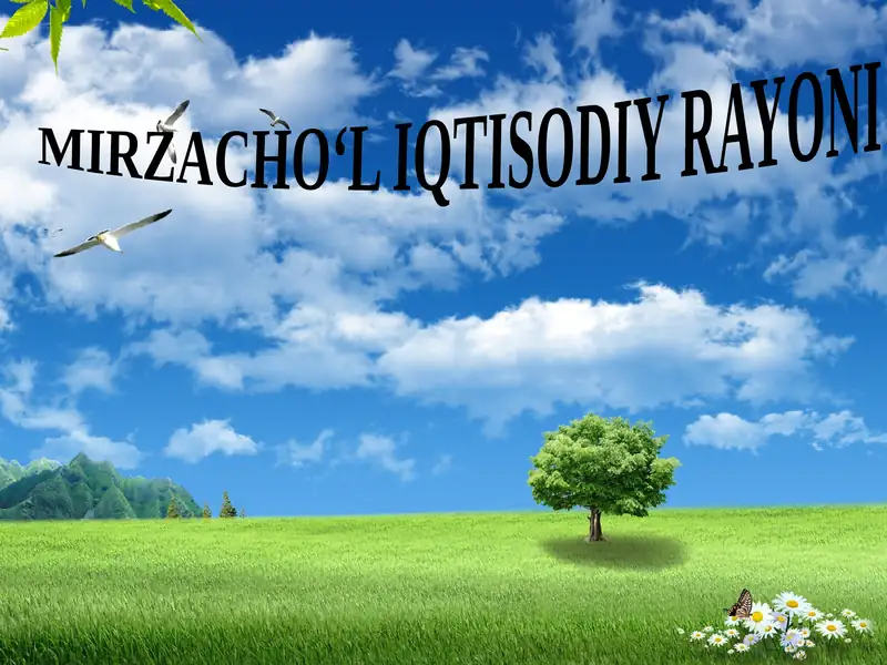 Mirzacho‘l Iqtisodiy Rayoni