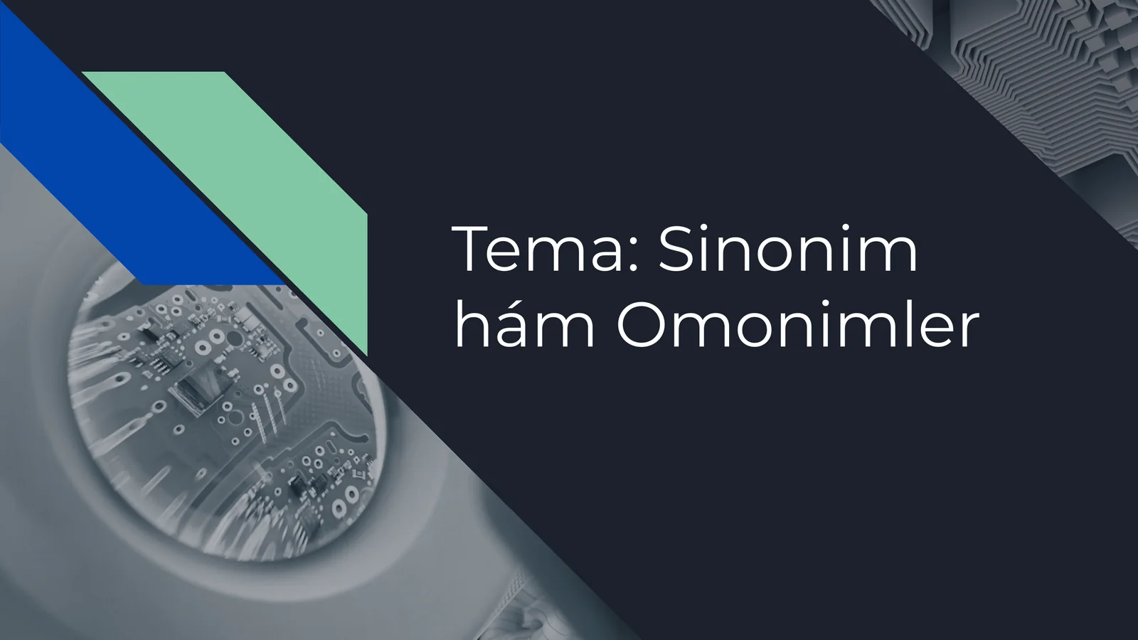 Sinonim hám Omonimler