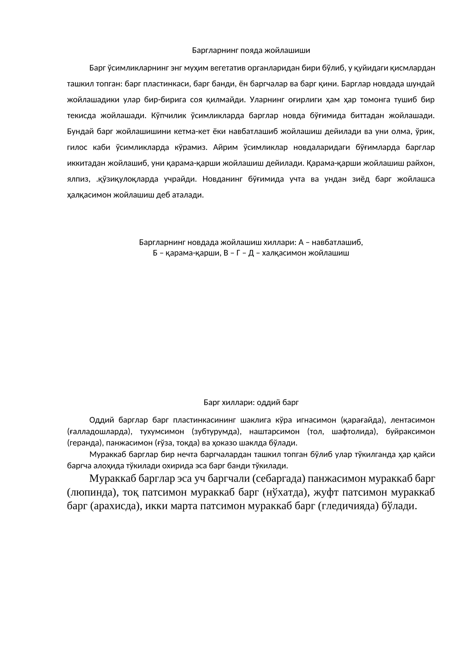 Баргларнинг пояда жойлашиши