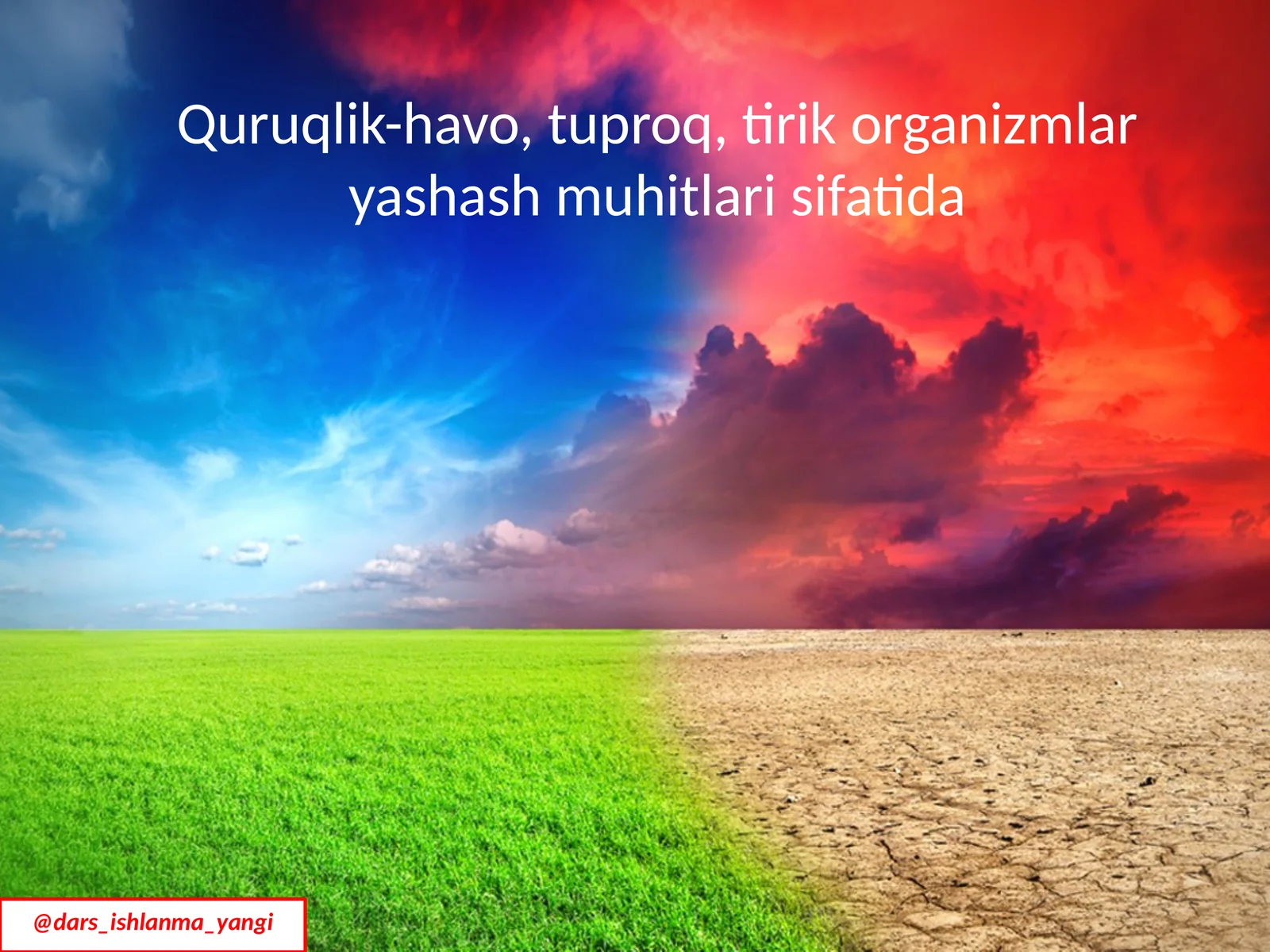 Quruqlik-havo Muhiti