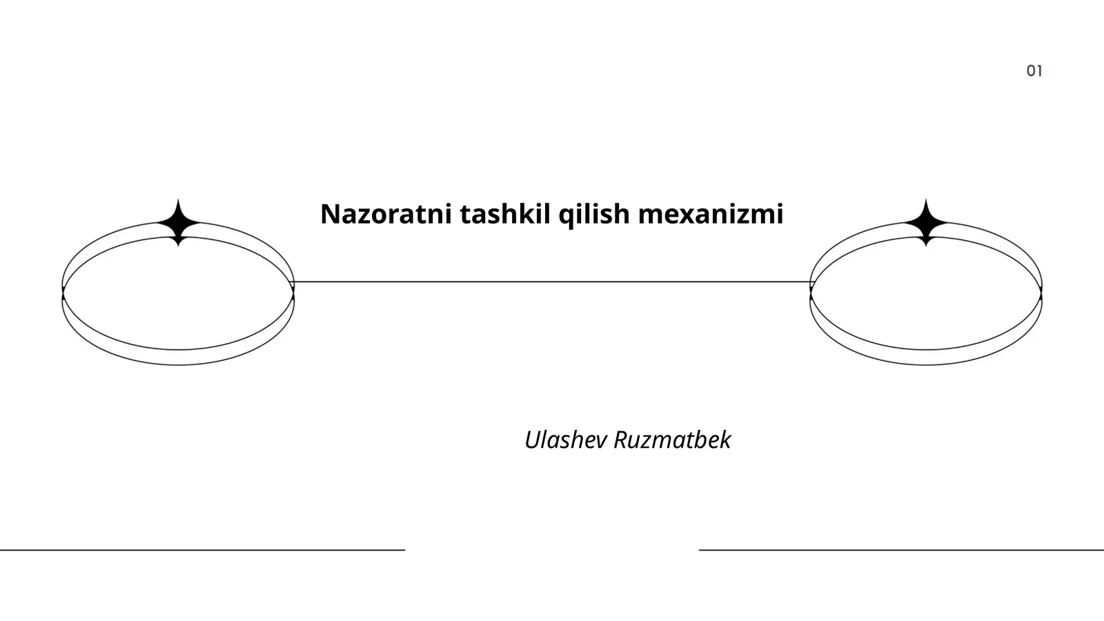 Nazoratni tashkil qilish mexanizmi