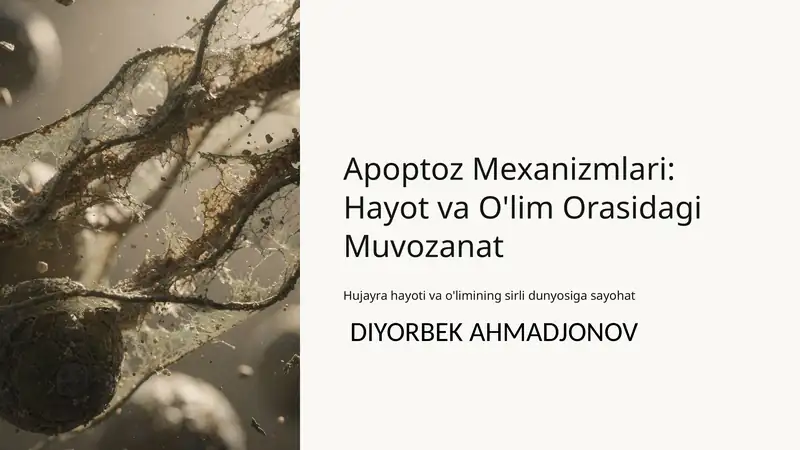 Apoptoz Mexanizmlari: Hayot va O'lim Orasidagi Muvozanat