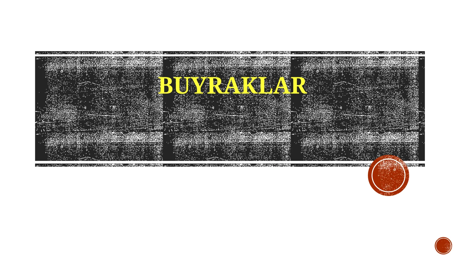 Tugma Animatsiyalari