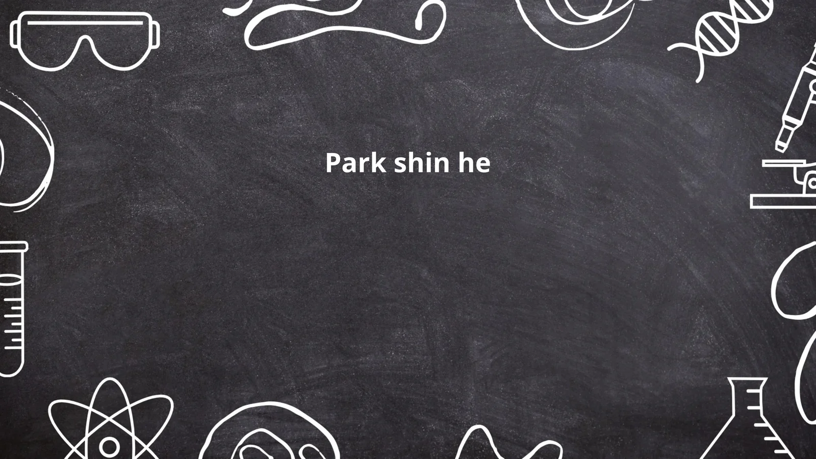 Park Shin Hye