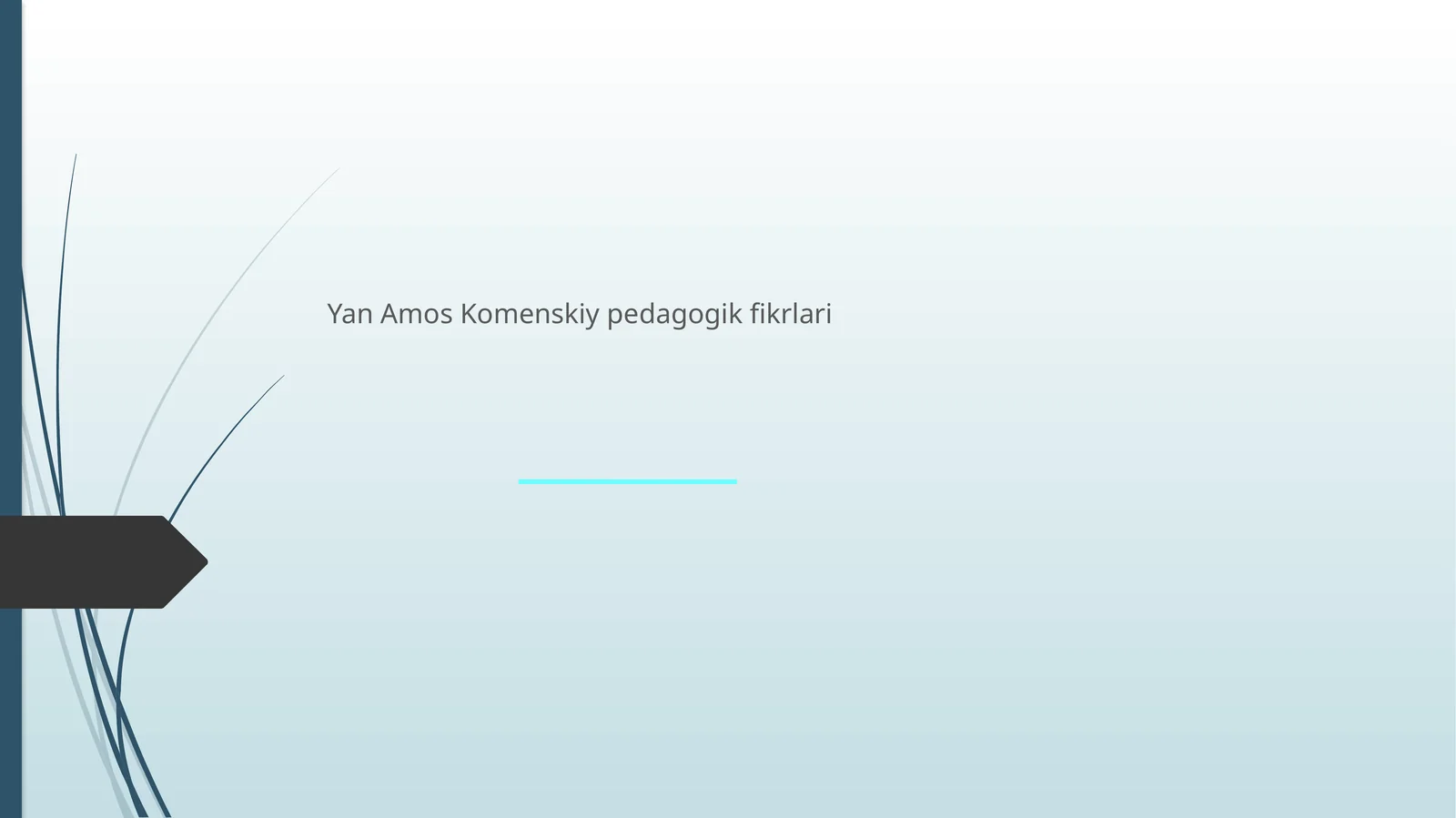 Yan Amos Komenskiy pedagogik fikrlari