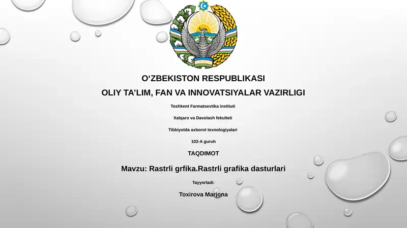 Rastrli grfika.Rastrli grafika dasturlari