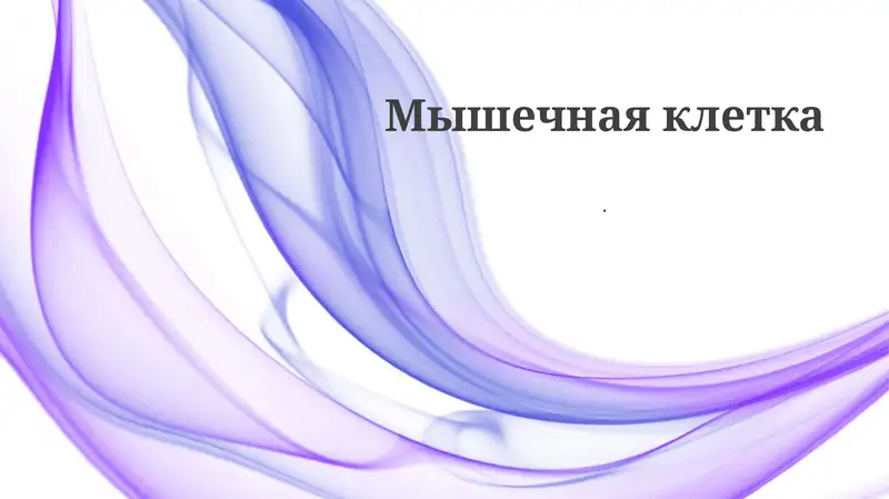 Мышечная клетка