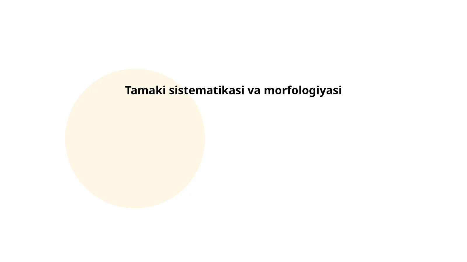 Tamaki sistematikasi va morfologiyasi