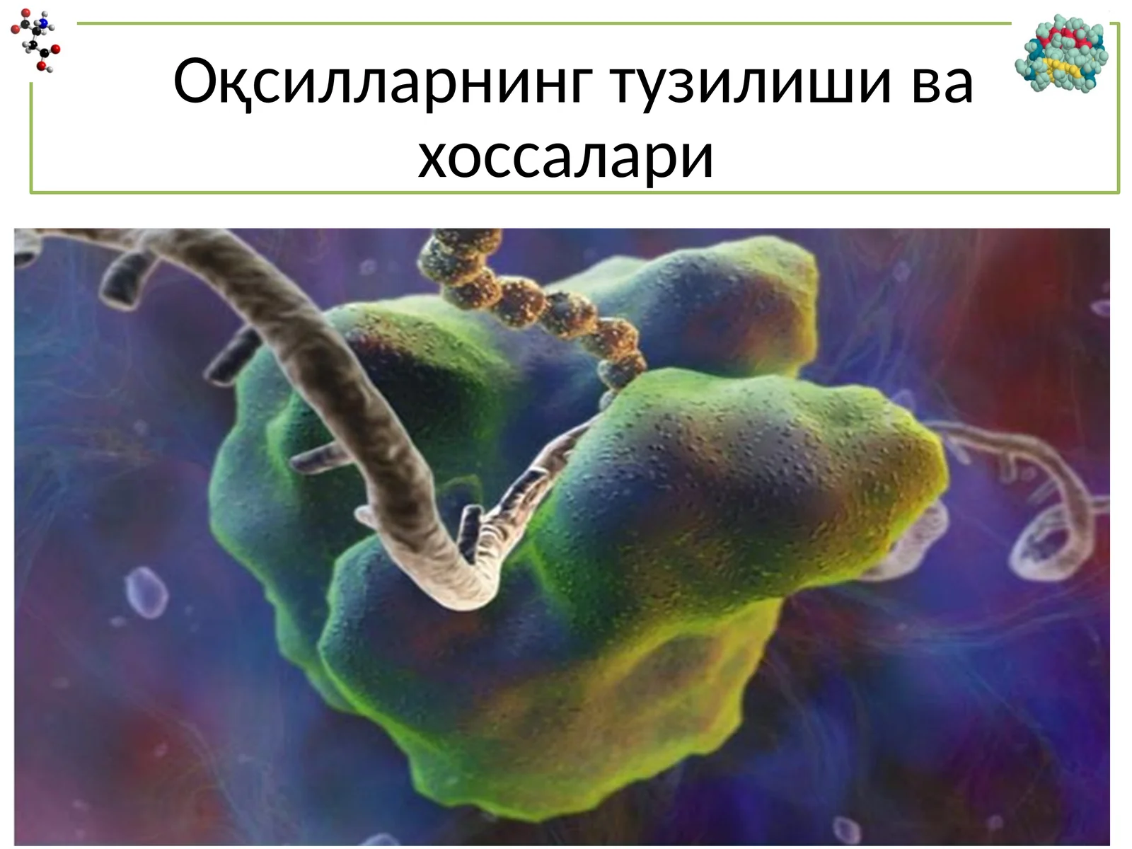 Oqsillarni umumiy xaraktеristikasi
