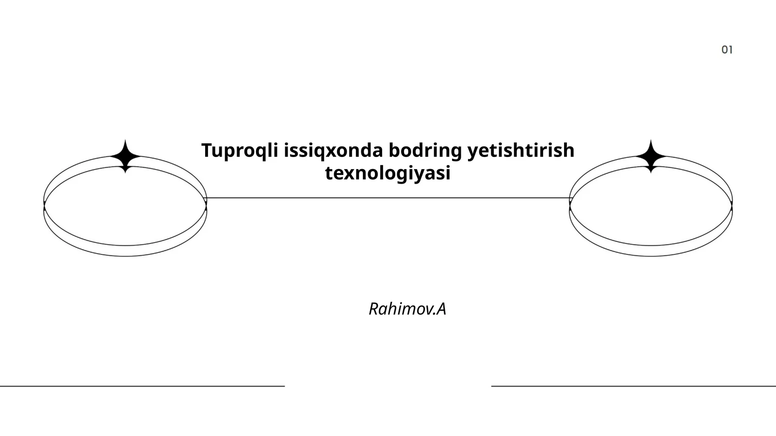 Tuproqli issiqxonda bodring yetishtirish texnologiyasi