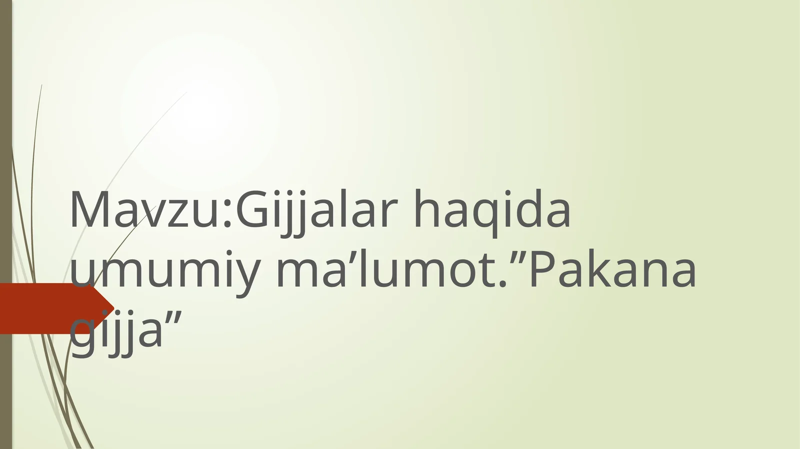 Gijjalar haqida umumiy ma’lumot.’’Pakana gijja’’