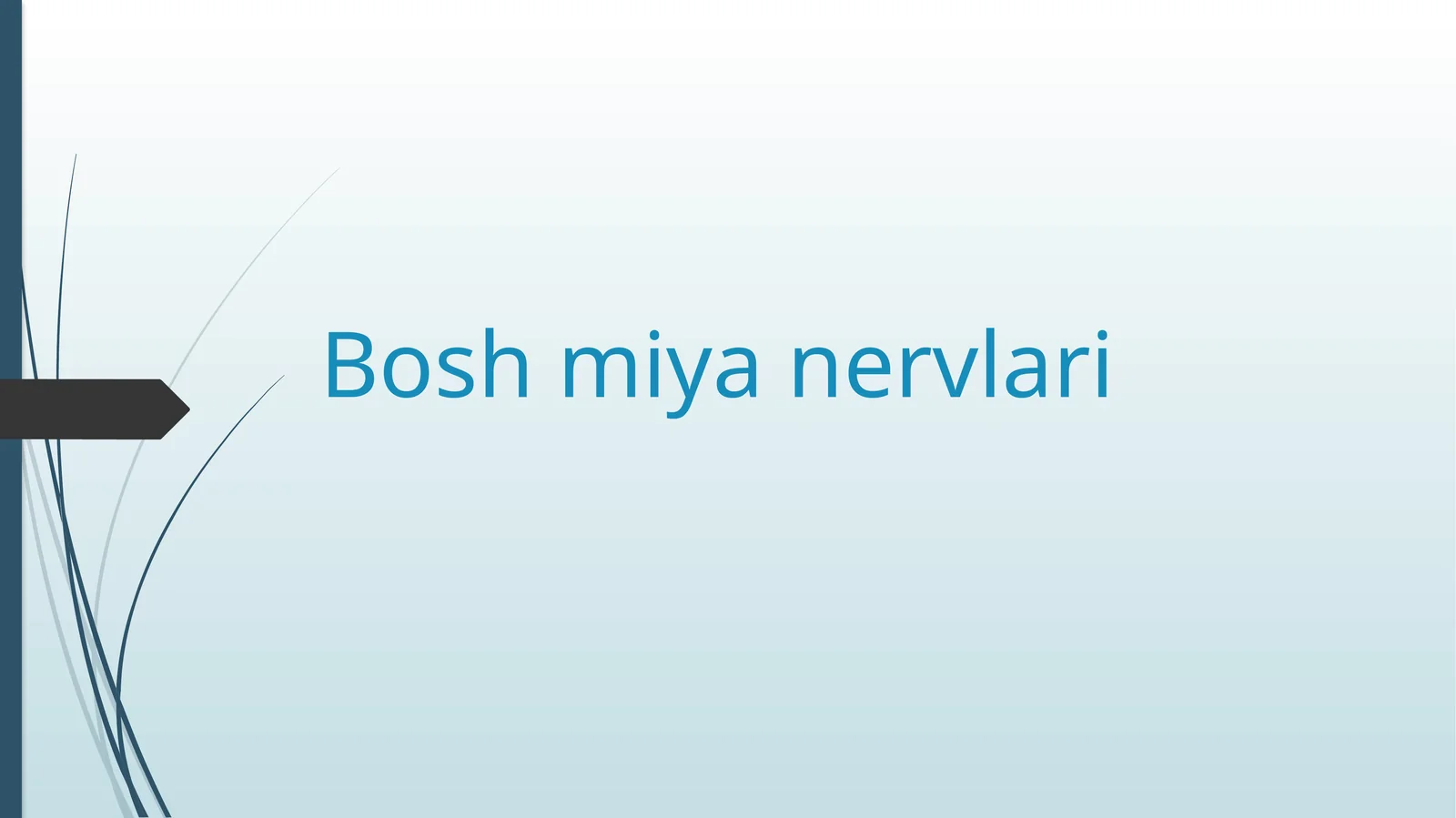 Boshmiyanervlari