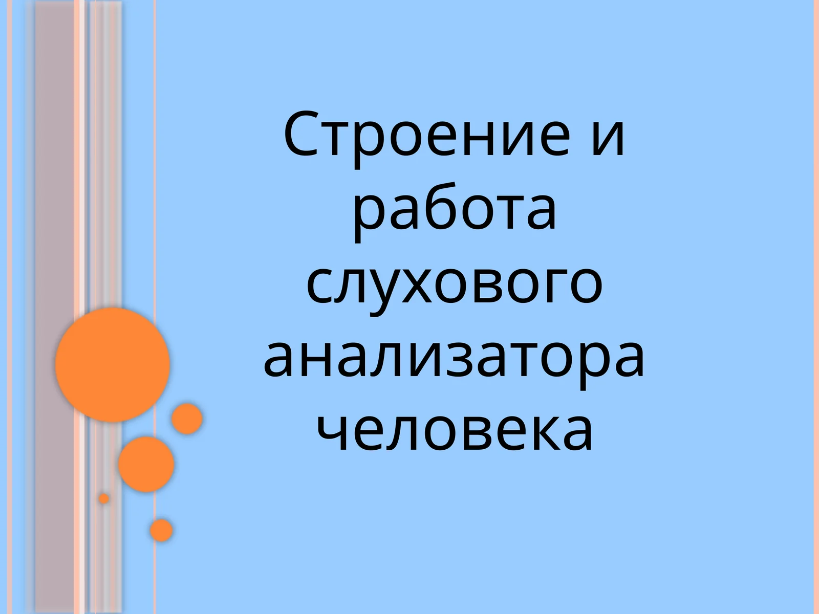 Строение и работа слухового анализатора человека